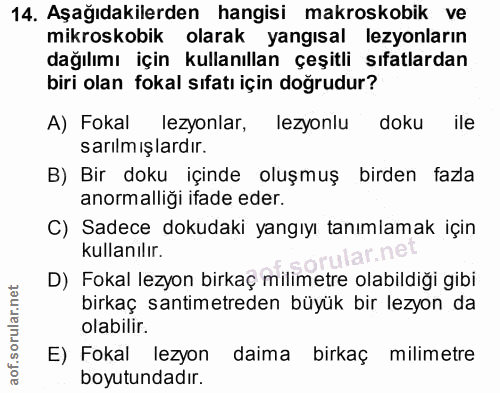 14. soru: Aşağıdakilerden hangisi makroskobik ve mikroskobik olarak yangısal lezyonların dağılımı için kullanıllan çeşitli sıfa…