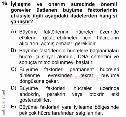16. soru: İyileşme ve onarım sürecinde önemli görevler üstlenen büyüme faktörlerinin etkisiyle ilgili aşağıdaki ifadelerden han…