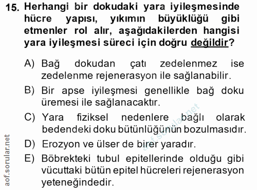15. soru: Herhangi bir dokudaki yara iyileşmesinde hücre yapısı, yıkımın büyüklüğü gibi etmenler rol alır, aşağıdakilerden hang…
