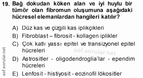 19. soru: Bağ dokudan köken alan ve iyi huylu bir tümör olan fibromun oluşumuna aşağıdaki hücresel elemanlardan hangileri katıl…