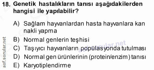 18. soru: Genetik hastalıkların tanısı aşağıdakilerden hangisi ile yapılabilir? A) Sağlam hayvanlardan hasta hayvanlara kan nak…