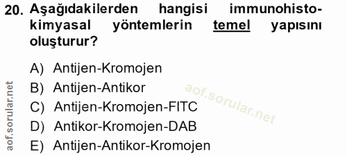 20. soru: Aşağıdakilerden hangisi immunohisto- kimyasal yöntemlerin teme! yapısını oluşturur? A) Antijen-Kromojen B) Antijen-An…