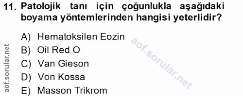 11. soru: Patolojik tanı için çoğunlukla aşağıdaki boyama yöntemlerinden hangisi yeterlidir? A) Hematoksilen Eozin B) Oil Red O…