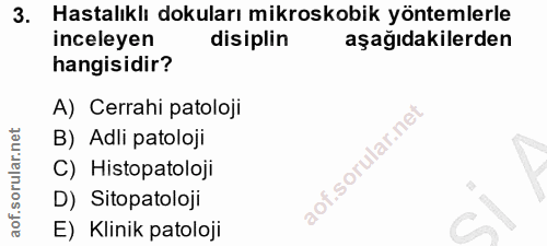 3. soru: Hastalıklı dokuları mikroskobik yöntemlerle inceleyen disiplin aşağıdakilerden hangisidir? A) Cerrahi patoloji B) Adl…