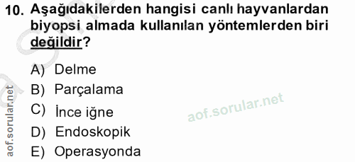 10. soru: Aşağıdakilerden hangisi canlı hayvanlardan biyopsi almada kullanılan yöntemlerden biri değildir? A) Delme B) Parçalam…