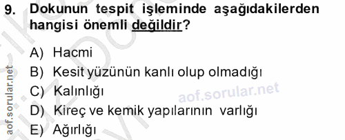 9. soru: Dokunun tespit işleminde aşağıdakilerden hangisi önemli değildir? А) Насті B) Kesit yüzünün kanlı olup olmadığı C) Ka…