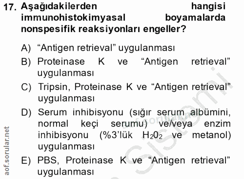 17. soru: Aşağıdakilerden hangisi immunohistokimyasal boyamalarda onspesifik reaksiyonları engeller? A) "Antigen retrieval" uyg…