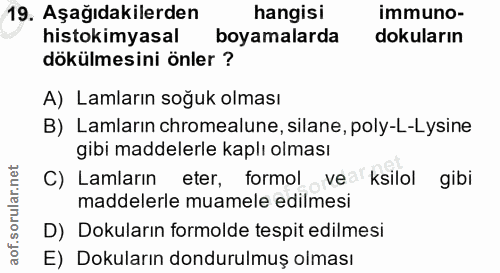 19. soru: Aşağıdakilerden hangisi immuno- histokimyasal boyamalarda dokuların dökülmesini önler ? A) Lamların soğuk olması B) L…