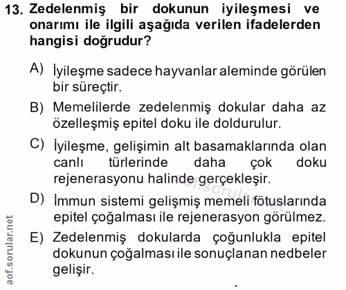 13. soru: Zedelenmiş bir dokunun iyileşmesi ve onarımı ile ilgili aşağıda verilen ifadelerden hangisi doğrudur? A) İyileşme sad…