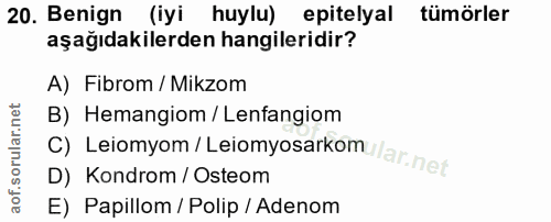 20. soru: Benign (iyi huylu) epitelyal tümörler aşağıdakilerden hangileridir? A) Fibrom / Mikzom C) Leiomyom / Leiomyosarkom//a…