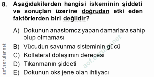 8. soru: Aşağıdakilerden hangisi iskeminin şiddeti ve sonuçları üzerine doğrudan etki eden faktörlerden biri değildir? A) Doku…