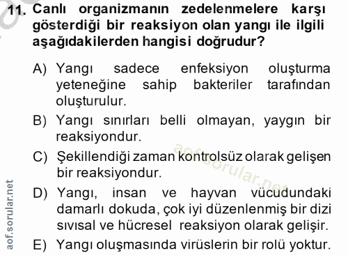 11. soru: Canlı organizmanın zedelenmelere karşı gösterdiği bir reaksiyon olan yangı ile ilgili aşağıdakilerden hangisi dogrudu…