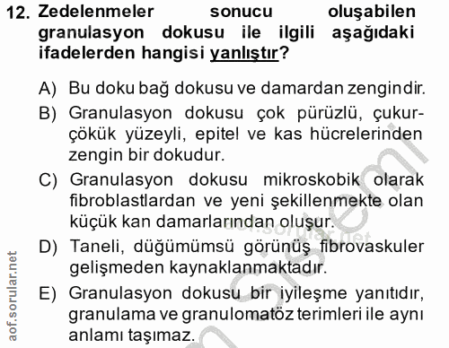 12. soru: Zedelenmeler sonucu oluşabilen granulasyon dokusu ile ilgili aşağıdaki ifadelerden hangisi yanlıştır? A) Bu doku bağ…