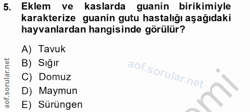 5. soru: Eklem ve kaslarda guanin birikimiyle karakterize guanin gutu hastalığı aşağıdaki hayvanlardan hangisinde görülür? A)…
