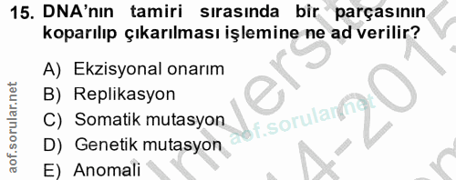 15. soru: DNA'nın tamiri sırasında bir parçasının koparılıp çıkarılması işlemine ne ad verilir? A) Ekzisyonal onarım B) Replika…