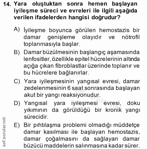 14. soru: Yara oluştuktan sonra hemen başlayan iyileşme süreci ve evreleri ile ilgili aşağıda verilen ifadelerden hangisi doğru…