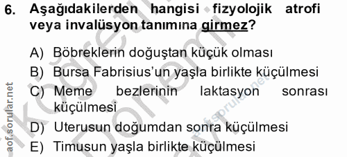 6. soru: Aşağıdakilerden hangisi • fizyolojik atrofi veya invalüsyon tanımına girmez? A) Böbreklerin doğuştan küçük olması B)…
