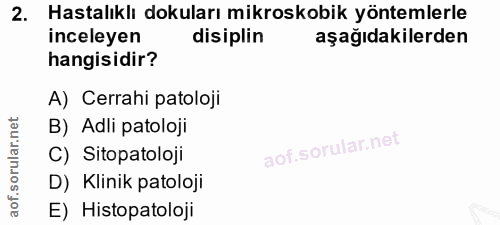 2. soru: Hastalıklı dokuları mikroskobik yöntemlerle inceleyen disiplin aşağıdakilerden hangisidir? A) Cerrahi patoloji B) Adl…