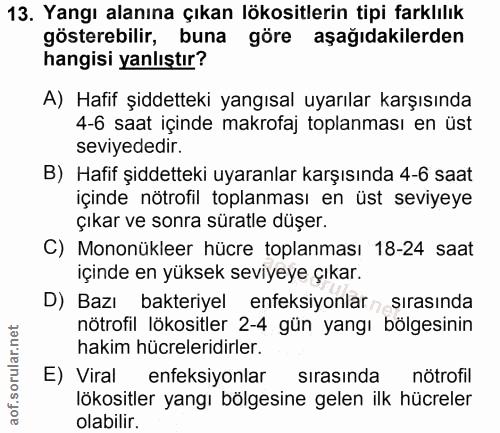 13. soru: Yangı alanına çıkan lökositlerin tipi farklılık gösterebilir, buna göre aşağıdakilerden hangisi yanlıştır? A) Hafif ş…