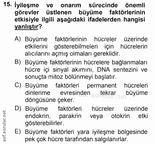 15. soru: İyileşme ve onarım sürecinde önemli görevler üstlenen büyüme faktörlerinin etkisiyle ilgili aşağıdaki ifadelerden han…