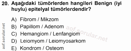 20. soru: Aşağıdaki tümörlerden hangileri Benign (iyi huylu) epitelyal tümörlerdendir? A) Fibrom / Mikzom B) Papillom / Adenom…
