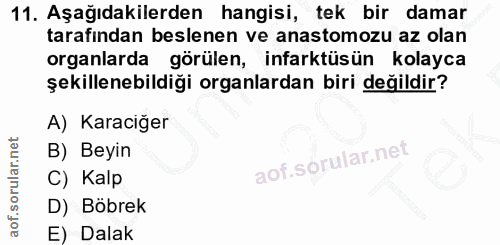 11. soru: Aşağıdakilerden hangisi, tek bir damar tarafından beslenen ve anastomozu az olan organlarda görülen, infarktüsün kola…