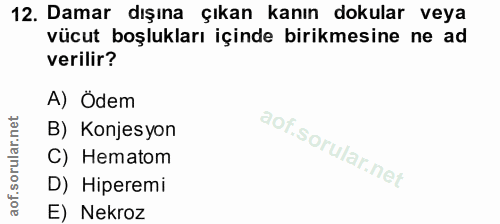 12. soru: Damar dışına çıkan kanın dokular veya vücut boşlukları içinde birikmesine ne ad verilir? A) Ödem B) Konjesyon C) Hema…
