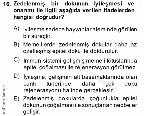 16. soru: Zedelenmiş bir dokunun iyileşmesi ve onarımı ile ilgili aşağıda verilen ifadelerden hangisi doğrudur? A) İyileşme sad…