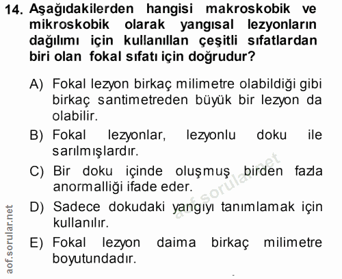 14. soru: Aşağıdakilerden hangisi makroskobik ve mikroskobik olarak yangısal lezyonların dağılımı için kullanıllan çeşitli sıfa…