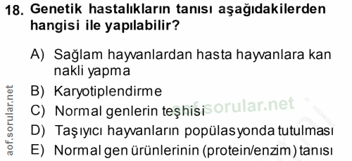 18. soru: Genetik hastalıkların tanısı aşağıdakilerden hangisi ile yapılabilir? A) Sağlam hayvanlardan hasta hayvanlara kan nak…