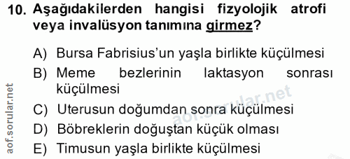 10. soru: Aşağıdakilerden hangisi fizyolojik atrofi veya invalüsyon tanımina girmez? A) Bursa Fabrisius'un yaşla birlikte küçül…