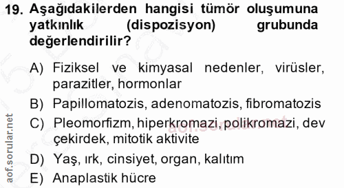 19. soru: Aşağıdakilerden hangisi tümör oluşumuna yatkınlık (dispozisyon) grubunda değerlendirilir? A) Fiziksel ve kimyasal ned…