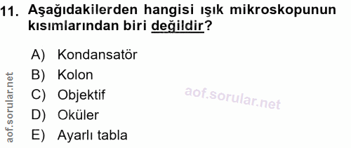 11. soru: Aşağıdakilerden hangisi ışık mikroskopunun kısımlarından biri değildir? A) Kondansatör B) Kolon C) Objektif D) Oküler…