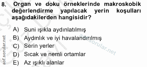 8. soru: Organ ve doku örneklerinde makroskobik değerlendirme yapılacak yerin koşulları aşağıdakilerden hangisidir? A) Suni ış…