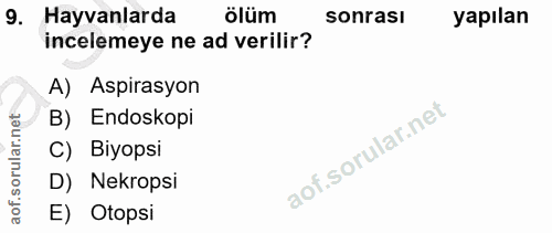 9. soru: Hayvanlarda ölüm sonrası yapılan incelemeye ne ad verilir? A) Aspirasyon B) Endoskopi C) Biyopsi D) Nekropsi E) Otopsi