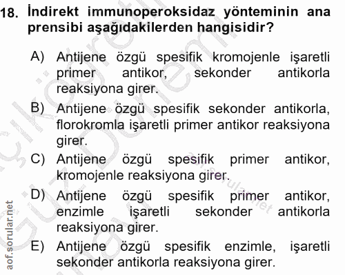 18. soru: İndirekt immunoperoksidaz yönteminin ana prensibi aşağıdakilerden hangisidir? A) Antijene özgü spesifik kromojenle iş…