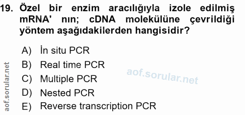 19. soru: Özel bir enzim aracılığıyla izole edilmiş mRNA' nın; cDNA molekülüne çevrildiği yöntem aşağıdakilerden hangisidir? A)…