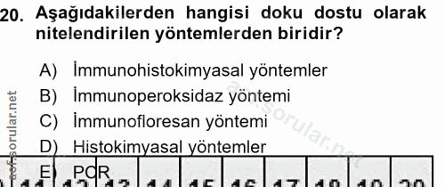20. soru: Aşağıdakilerden hangisi doku dostu olarak nitelendirilen yöntemlerden biridir? A) Immunohistokimyasal yöntemler orula…