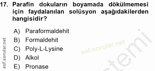 17. soru: Parafin dokuların boyamada dökülmemesi için faydalanılan solüsyon aşağıdakilerden hangisidir? A) Paraformaldehit B) F…