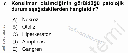7. soru: Konsilman cisimciğinin görüldüğü patolojik durum aşağıdakilerden hangisidir? A) Nekroz B) Otoliz C) Hiperkeratoz D) A…