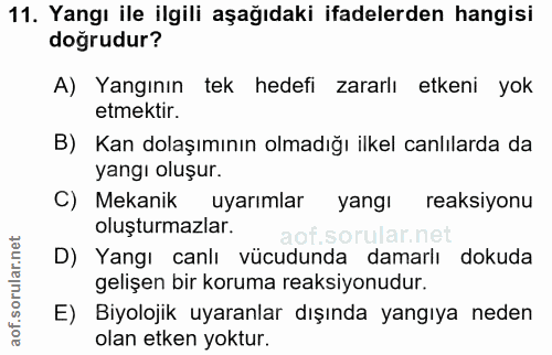 11. soru: Yangı ile ilgili aşağıdaki ifadelerden hangisi doğrudur? A) Yangının tek hedefi zararlı etkeni yok etmektir. B) Kan d…