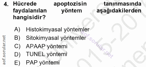 4. soru: Hücrede apoptozisin tanınmasında faydalanılan yöntem aşağıdakilerden hangisidir? A) Histokimyasal yöntemler B) Sitoki…