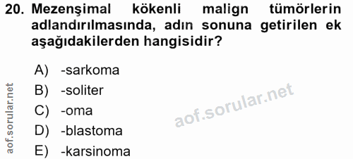 20. soru: Mezenşimal kökenli malign tümörlerin adlandırılmasında, adın sonuna getirilen ek aşağıdakilerden hangisidir? A) -sark…