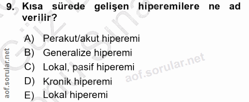 9. soru: Kısa sürede gelişen hiperemilere ne ad verilir? A) Perakut/akut hiperemi B) Generalize hiperemi ar.ne C) Lokal, pasif…