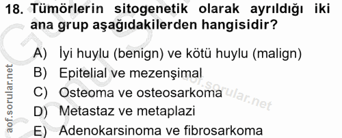 18. soru: Tümörlerin sitogenetik olarak ayrıldığı iki ana grup aşağıdakilerden hangisidir? A) İyi huylu (benign) ve kötü huylu…