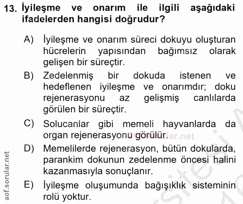 13. soru: İyileşme ve onarım ile ilgili aşağıdaki ifadelerden hangisi doğrudur? A) Iyileşme ve onarım süreci dokuyu oluşturan h…