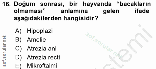 16. soru: Doğum sonrası, bir hayvanda "bacakların olmaması" anlamına gelen ifade aşağıdakilerden hangisidir? A) Hipoplazi B) Am…