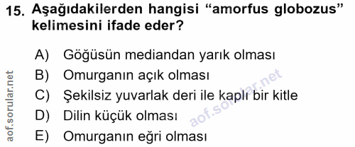 15. soru: Aşağıdakilerden hangisi "amorfus globozus" kelimesini ifade eder? A) Göğüsün mediandan yarık olması B) Omurganın açık…