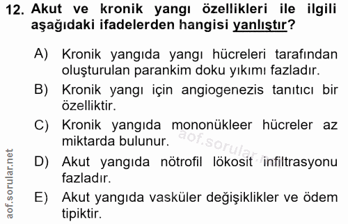 12. soru: Akut ve kronik yangı özellikleri ile ilgili aşağıdaki ifadelerden hangisi yanlıştır? A) Kronik yangıda yangı hücreler…
