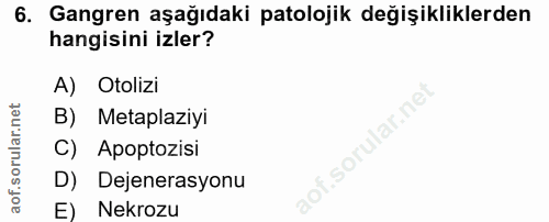 6. soru: Gangren aşağıdaki patolojik değişikliklerden hangisini izler? A) Otolizi B) Metaplaziyi C) Apoptozisi D) Dejenerasyon…